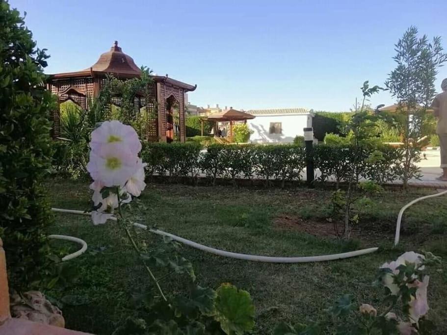 Hurghada-Magawish Studio 2 Εξωτερικό φωτογραφία